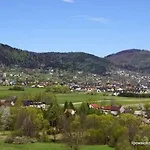 Nest Lipowa